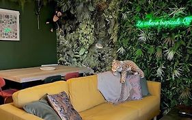 La cabane tropicale